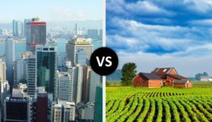 City Vs Country Living: Which Is Greener?