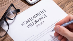 Choosing the Right Loft Insurance Policy